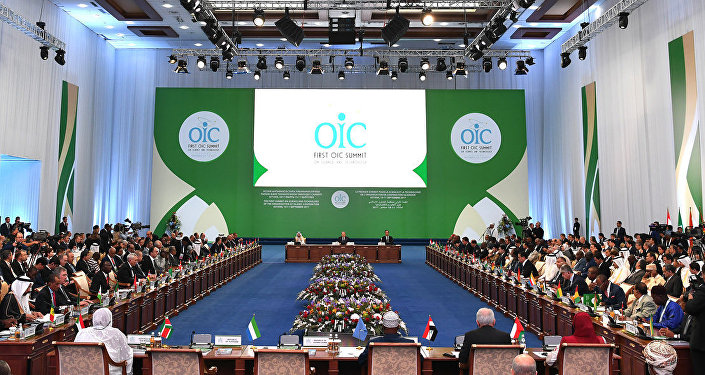 Conference of OIC Labor Ministers 2013